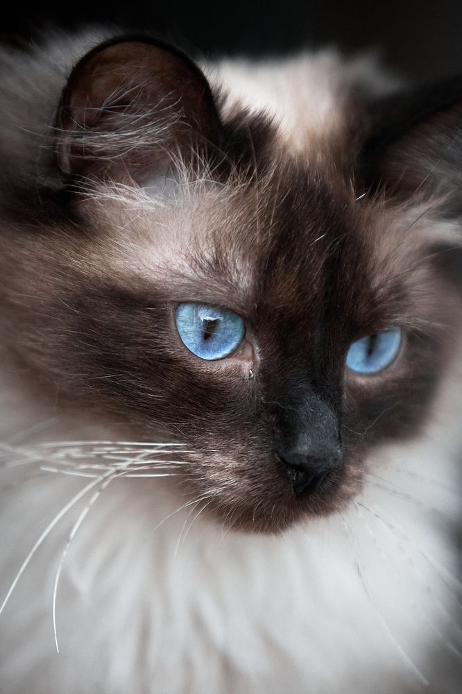 Фотография автора Вострецов Иван