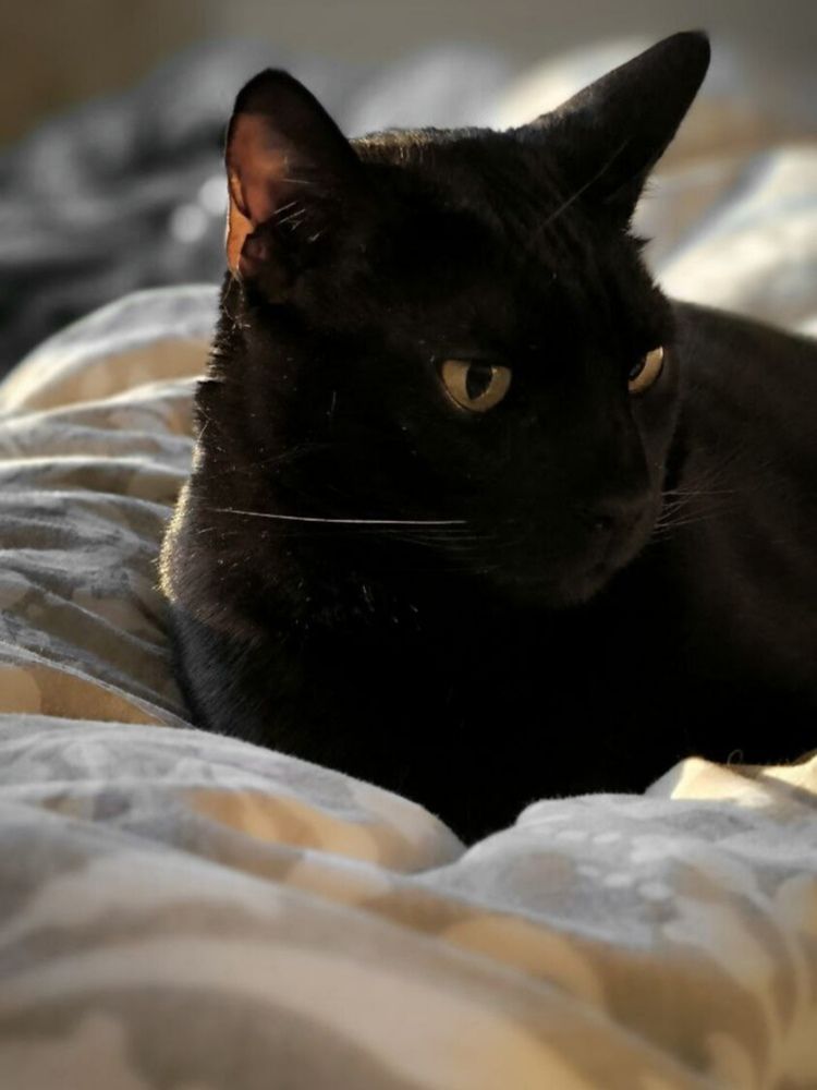 Photograph by Ksenija Bartoško