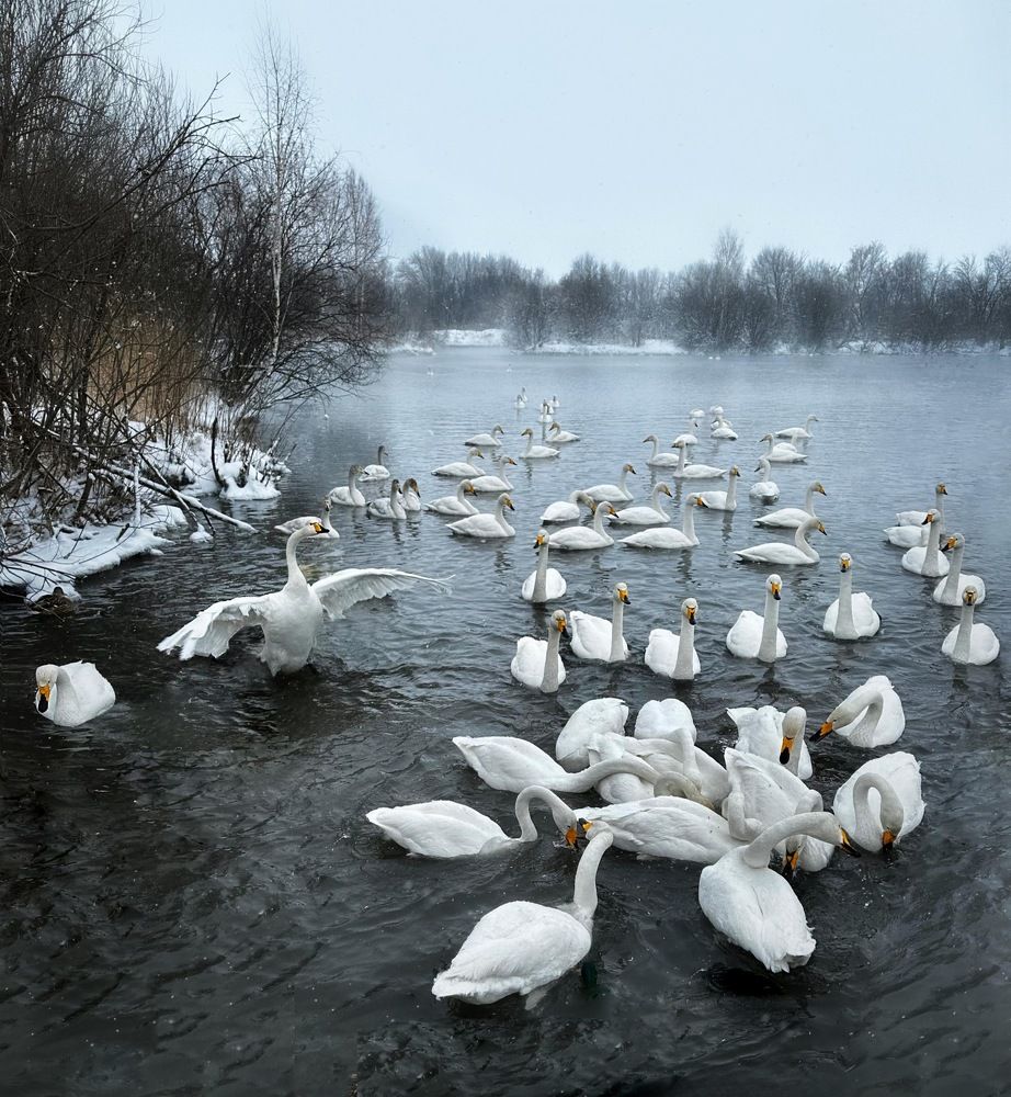 Photograph by Svetlana Rashidova