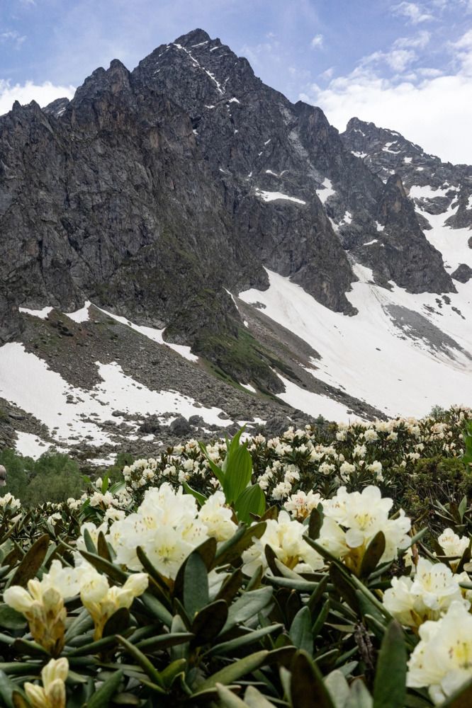 Photograph by Елена Саливон