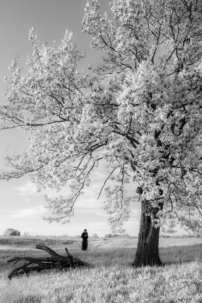 Photograph by Алексей Епишкин