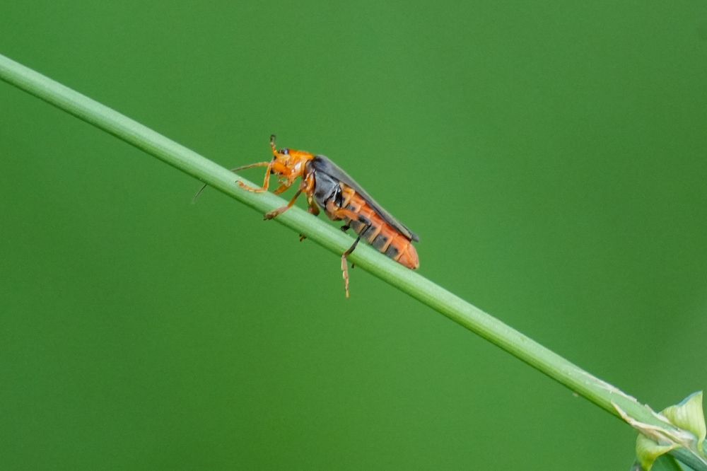 Photograph by Pavel Morozov