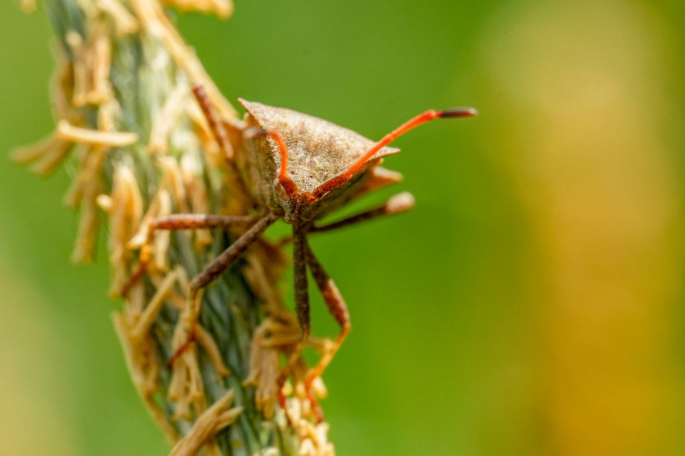 Photograph by Pavel Morozov