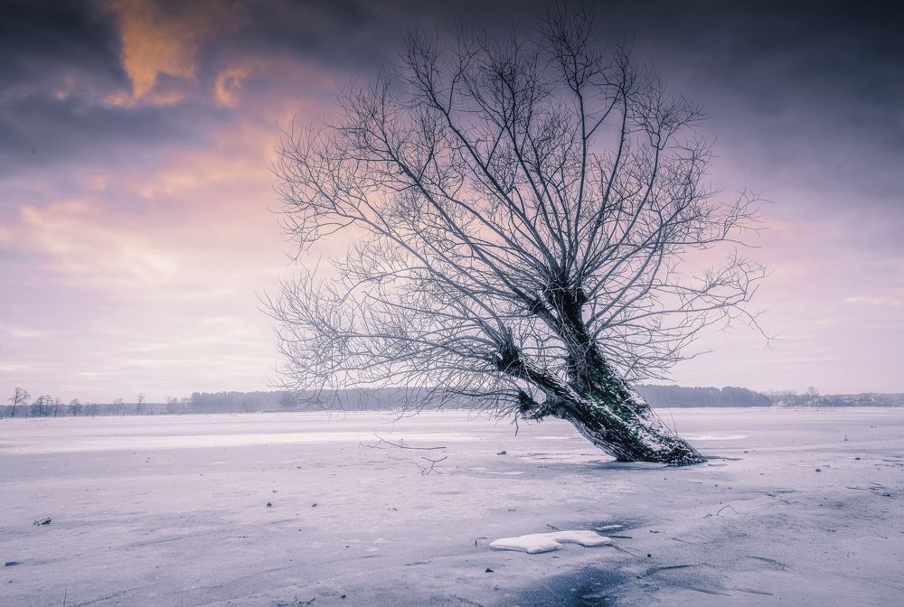 Photograph by Budyta Dariusz