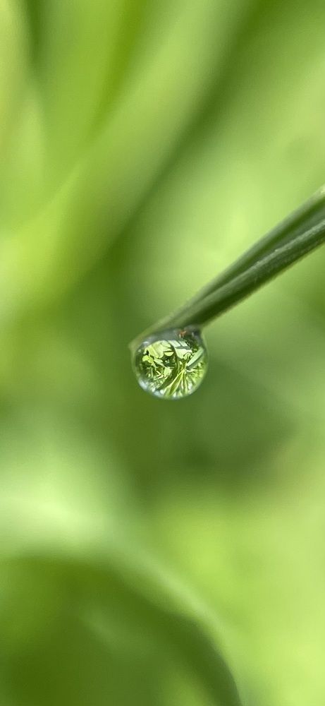 Photograph by Валентина Ивашова