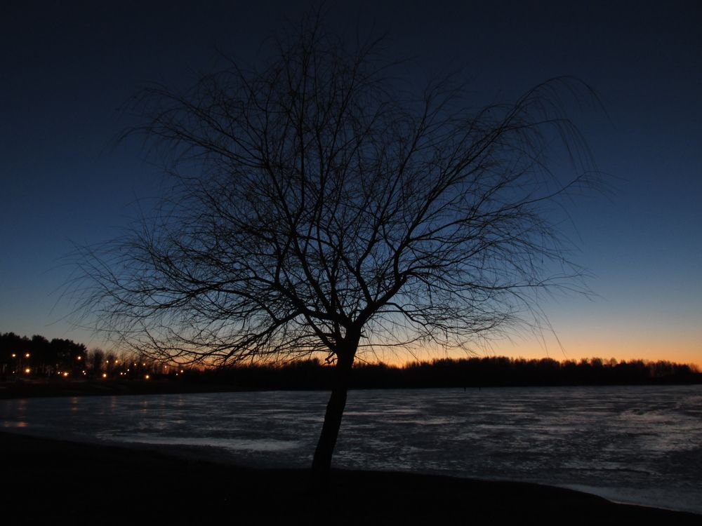 Photo #10732436