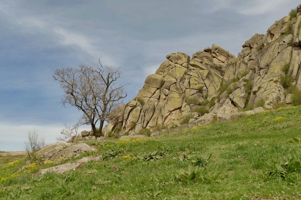 Photograph by Viktorija Spasenoski