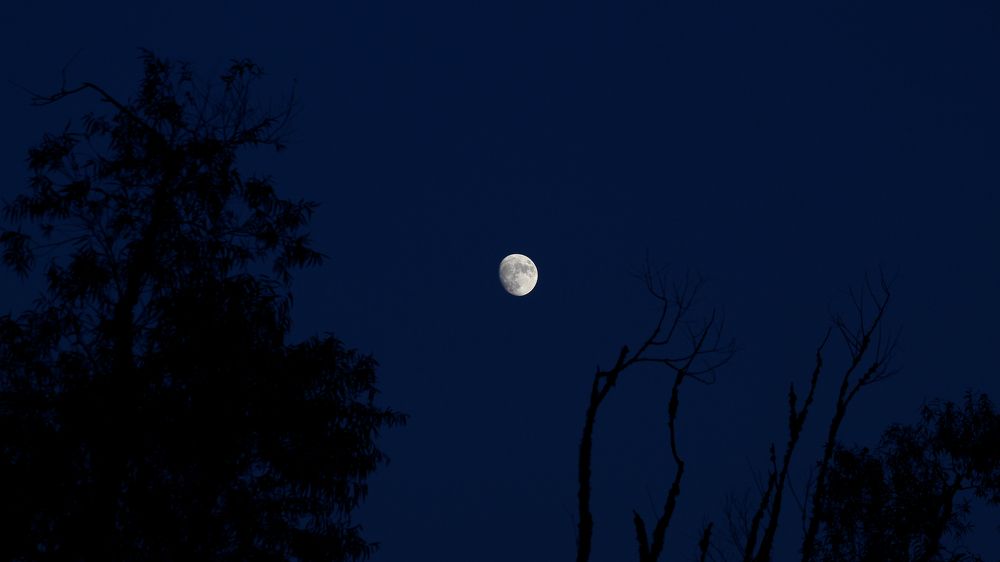 Фотография автора Jeff Cooley