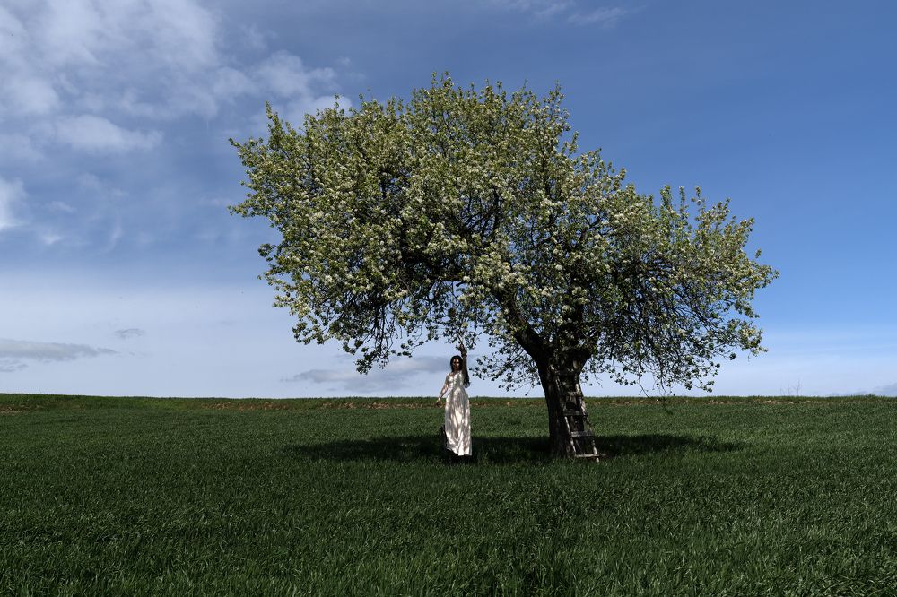 A Lonely Tree and a Girl