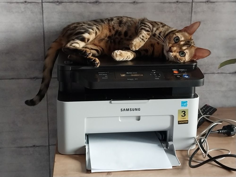 Photograph by Юлия Фирман