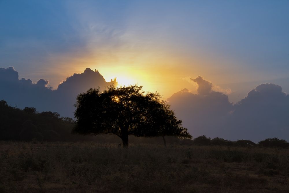 Photograph by Yafet Prayogo