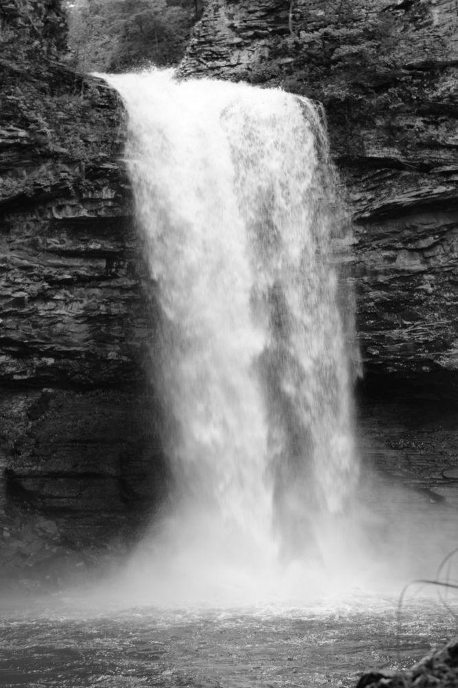 Photograph by Kyle Falls
