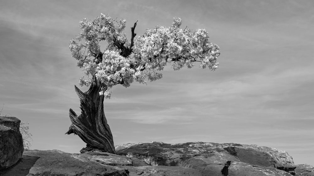 Photograph by Гришанов Пётр