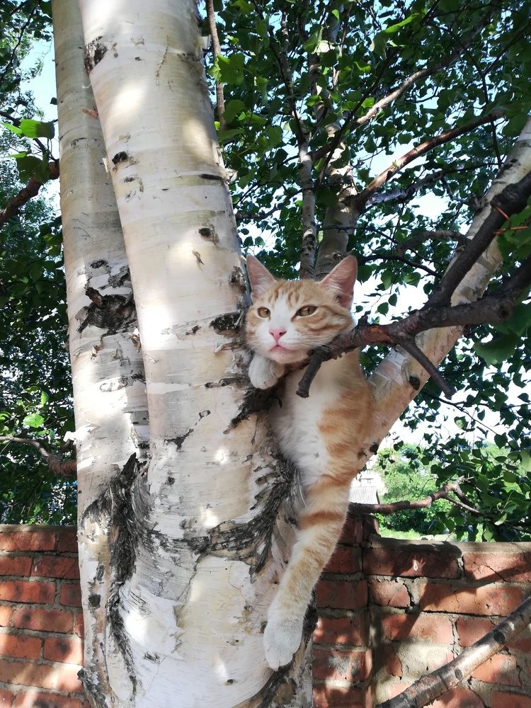 Photograph by Оксана Трофименко