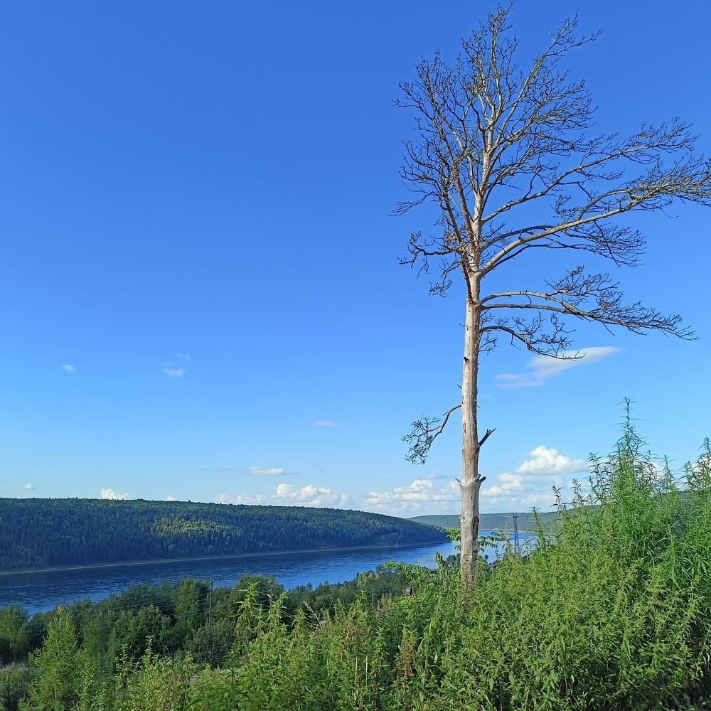 Воля к существованию в этом мире