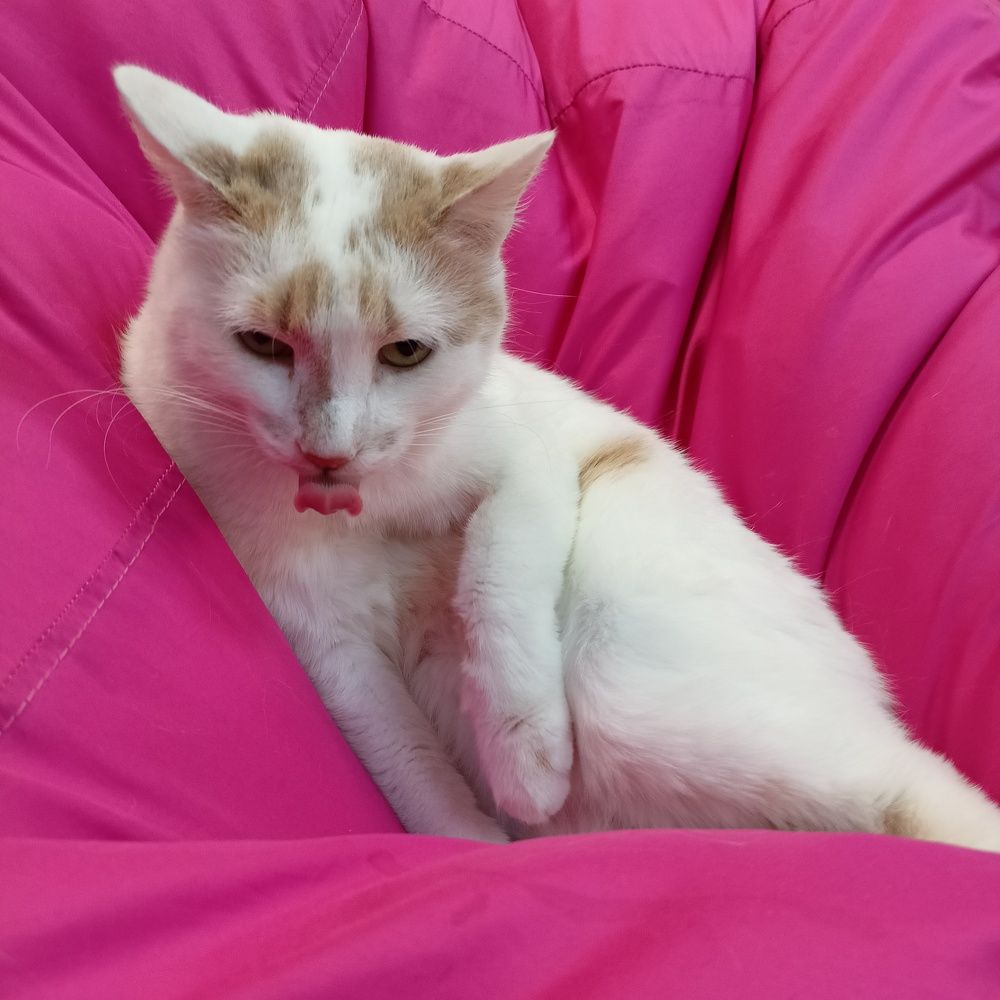 Photograph by Анастасия Горбачева