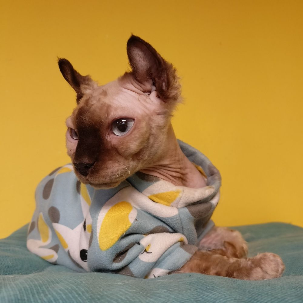 Photograph by Анастасия Горбачева