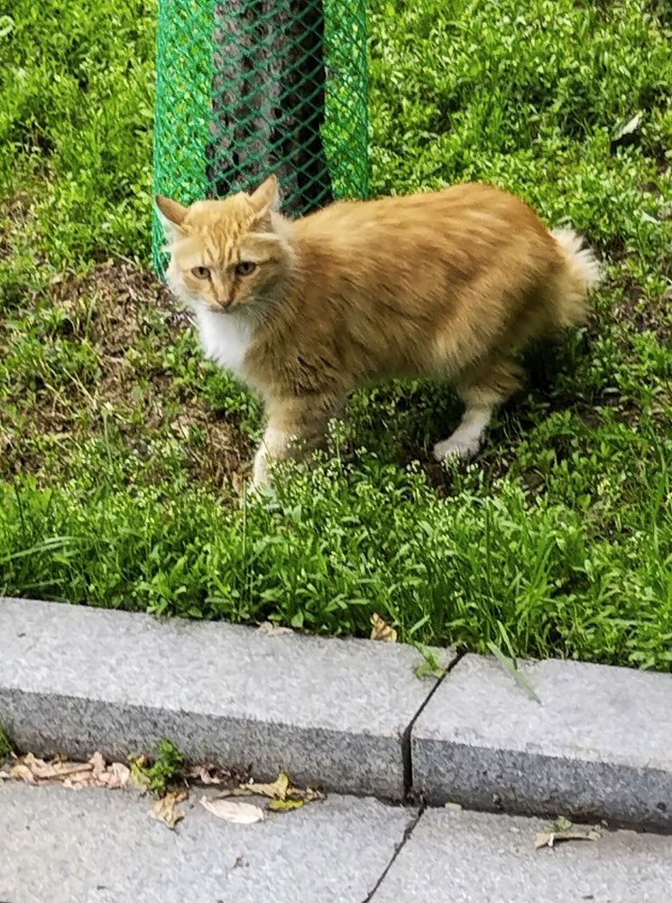 Photograph by Sergey Kurkov-Tarkovsky
