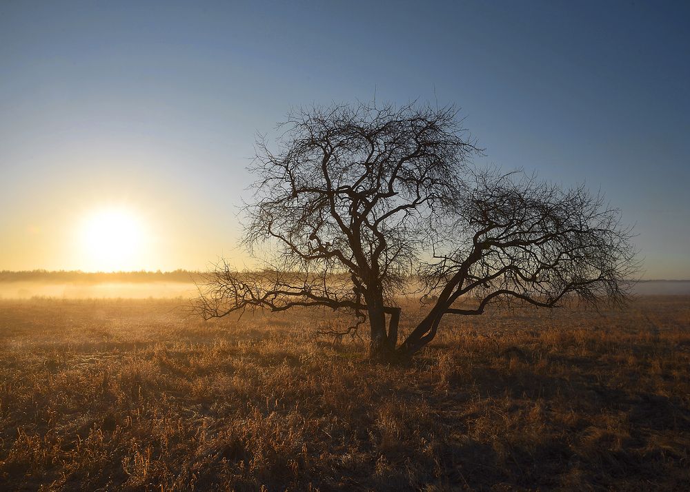 Фотография автора Александр Степочкин