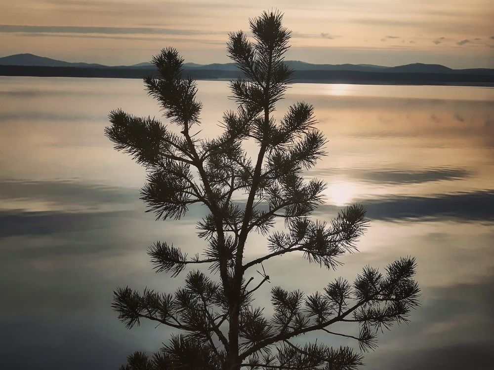 Photograph by Светлана Кудянова