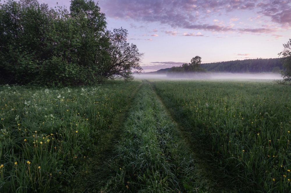 Photograph by Ivan Ogurtsov