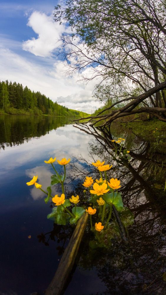 Photograph by Ivan Ogurtsov