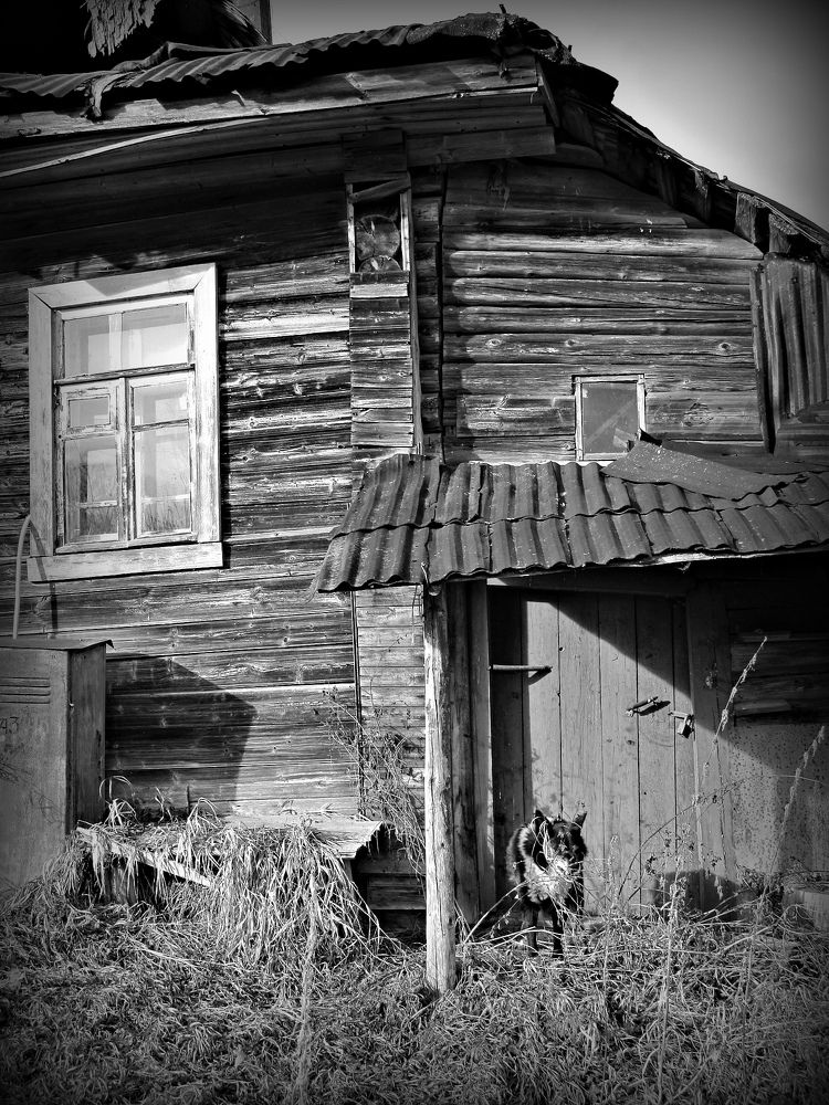 Photograph by Ольга Сафронова