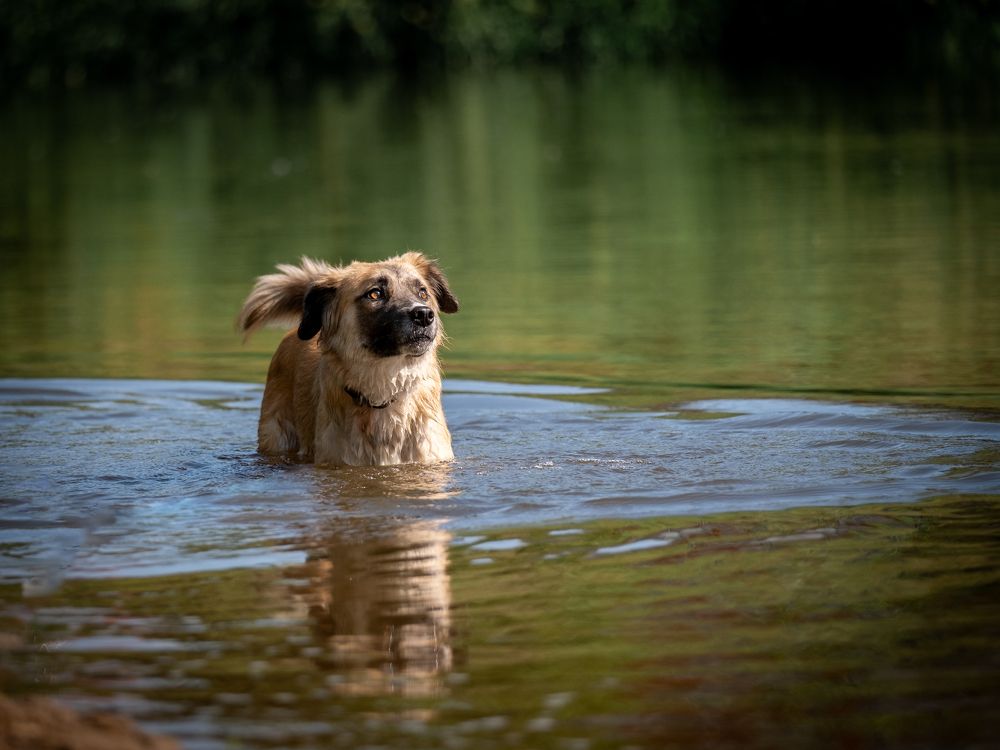 Photograph by Dina Damotseva