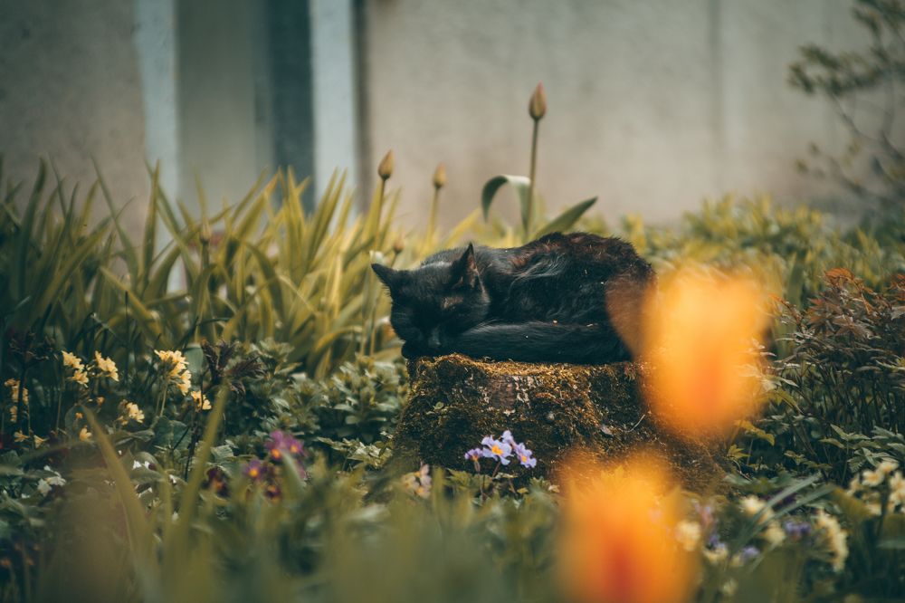 Photograph by Никита Серебряков