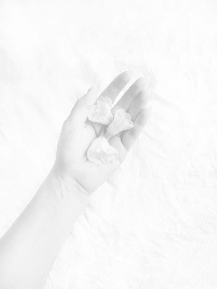 Photograph by Ksenija Bartoško