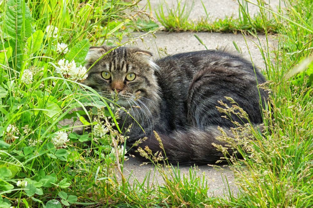 Photograph by Татьяна Семенова