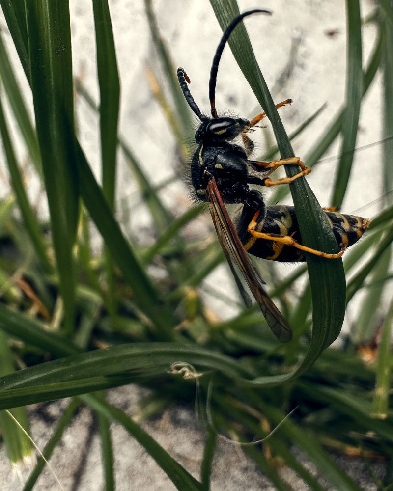 Photograph by Аленa Пономарева