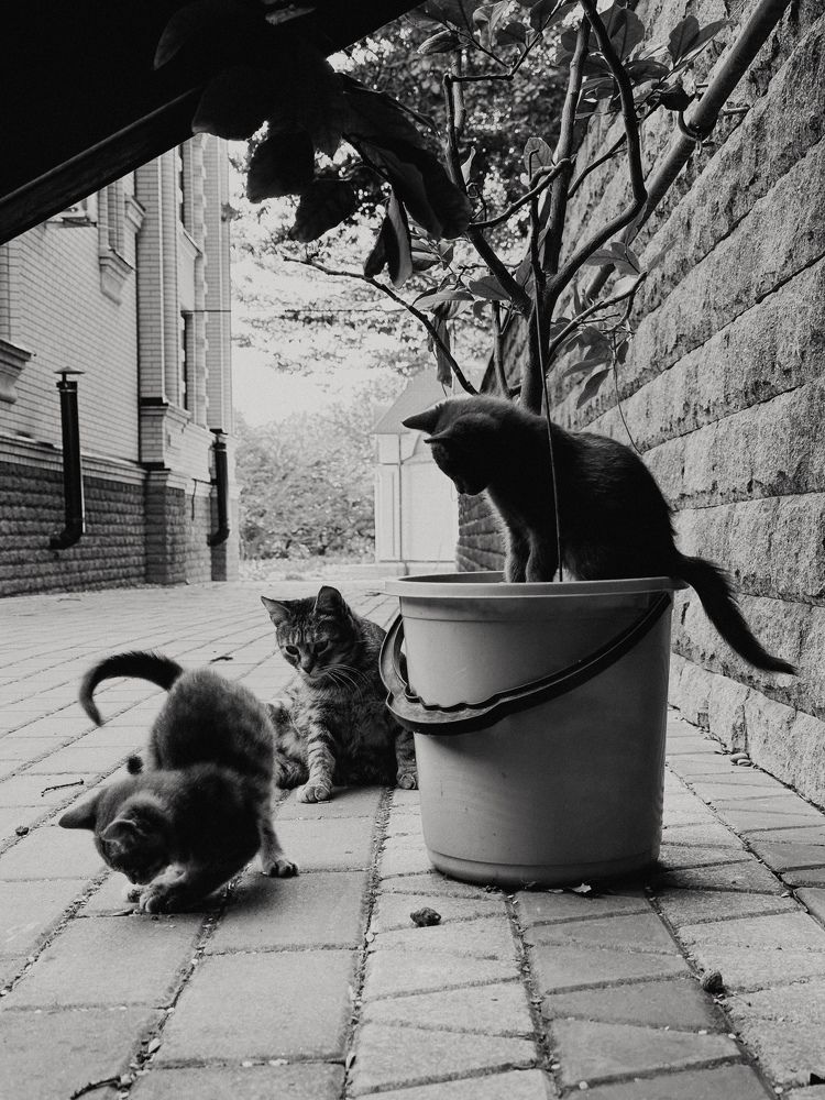 Photograph by Аленa Пономарева