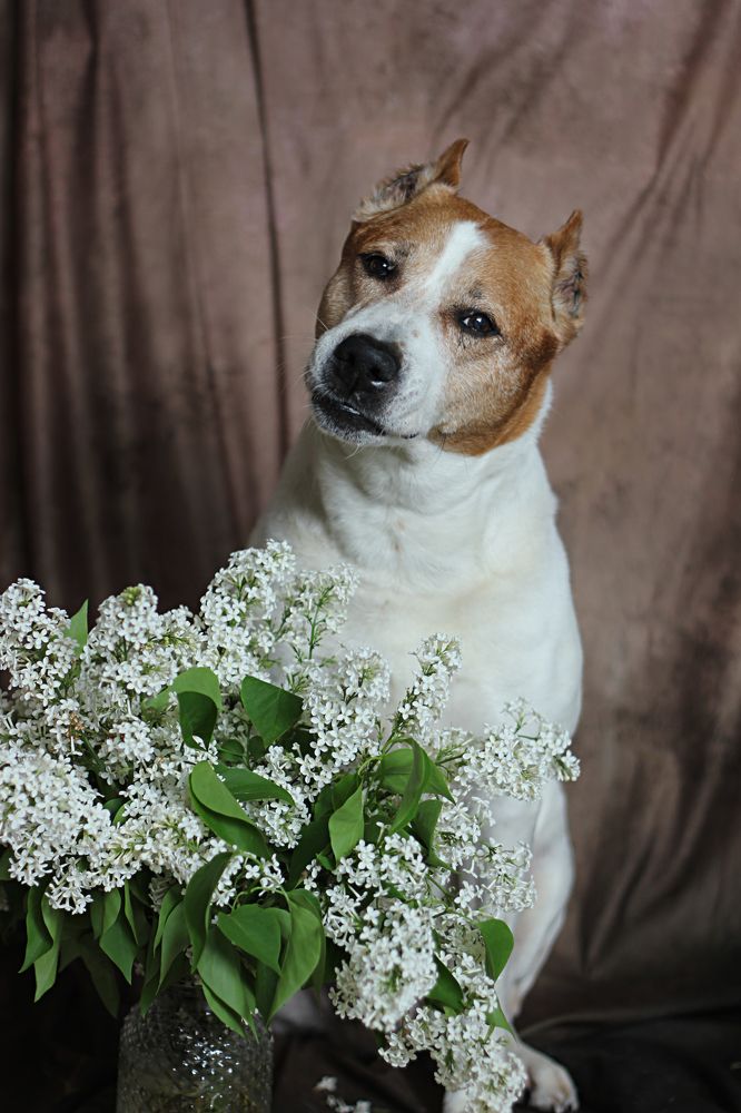 Photograph by Надежда Тарасенко