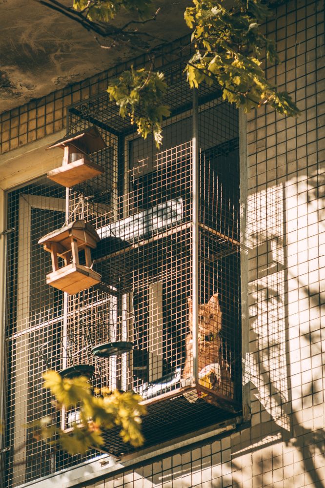 Photograph by Никита Серебряков