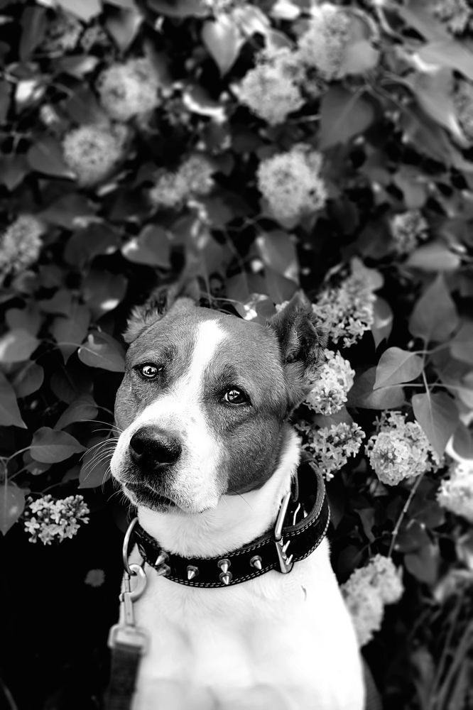 Photograph by Надежда Тарасенко