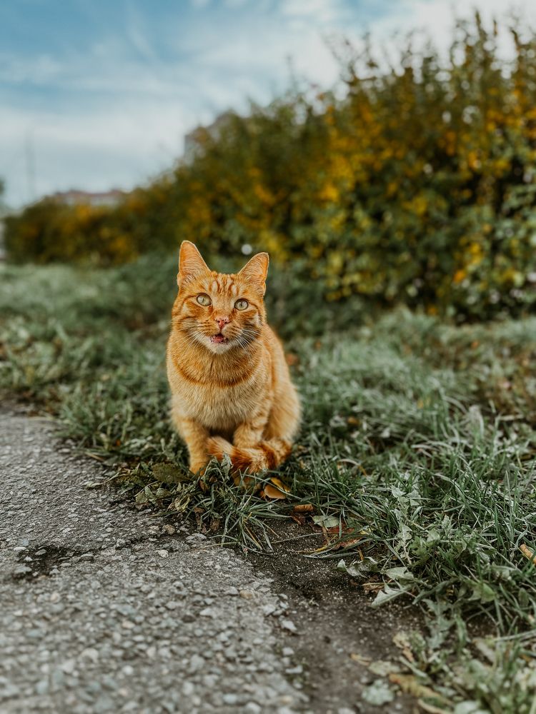 Photograph by Екатерина Корчагина