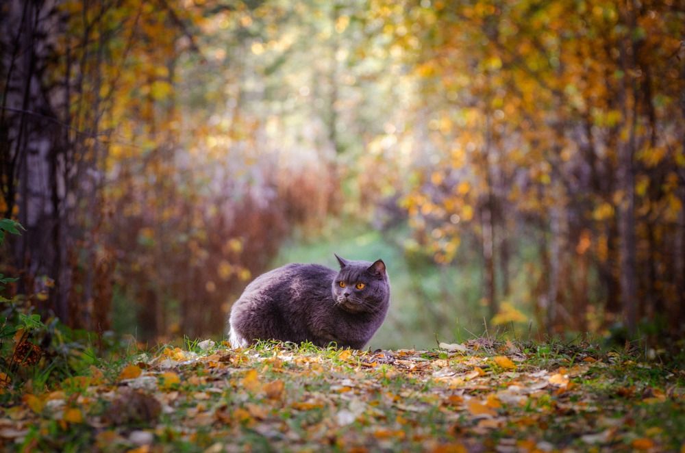 Photograph by Ivan Ogurtsov