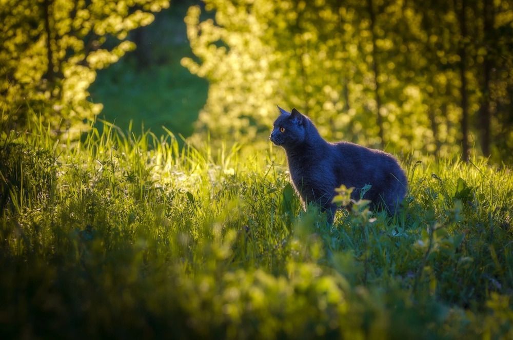 Photograph by Ivan Ogurtsov