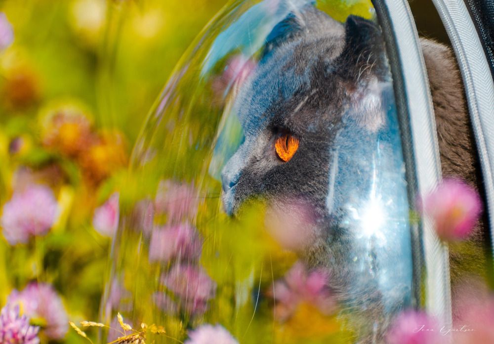 Photograph by Ivan Ogurtsov