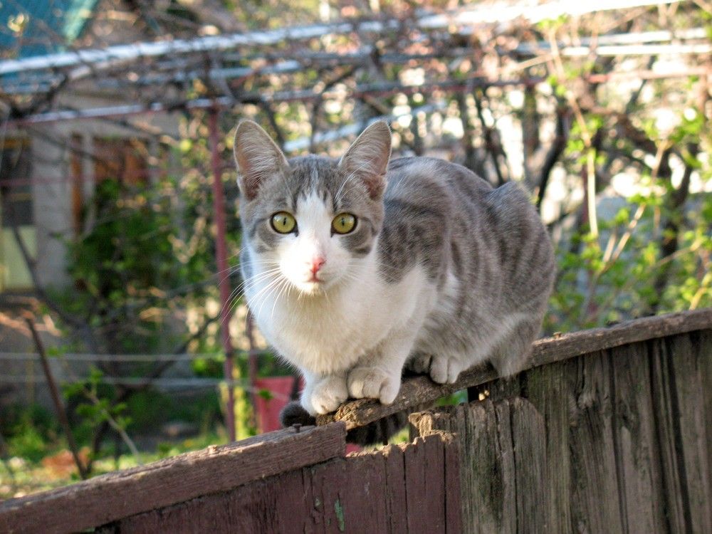 Внезапно / Suddenly