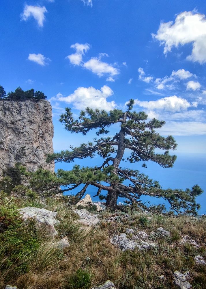 Photograph by Любомир