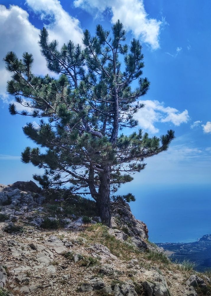 Photograph by Любомир