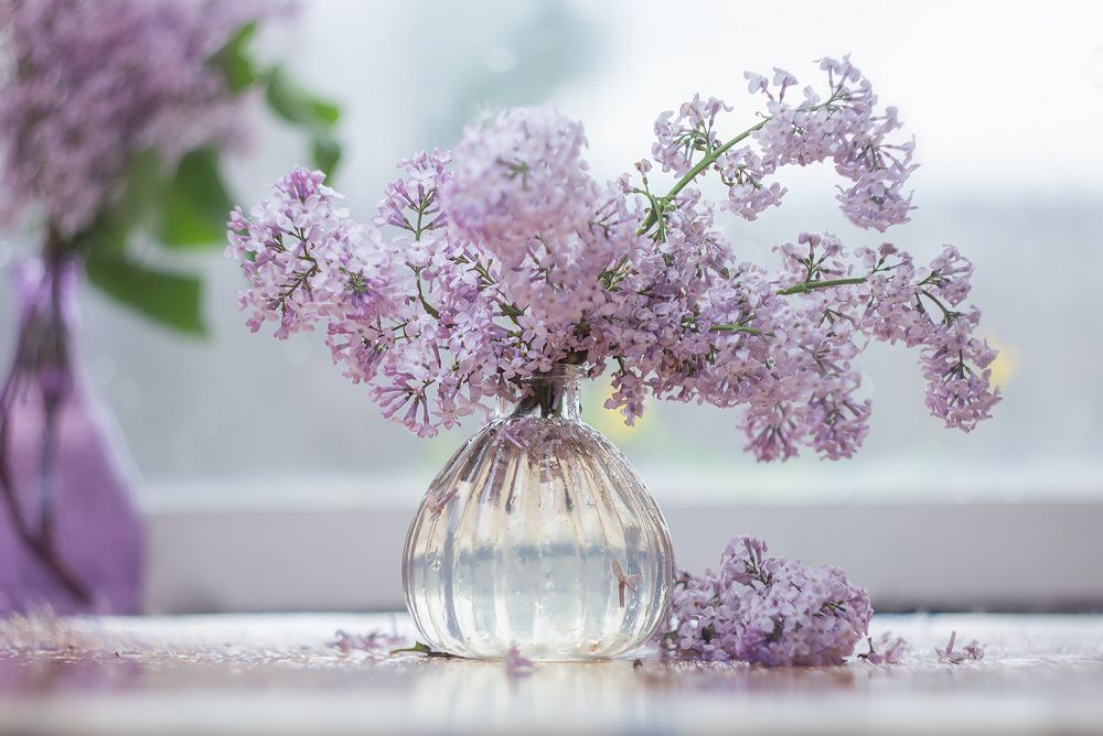 Photograph by Ольга Сидорова