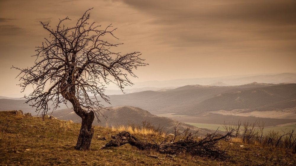 Photograph by Florin Ungureanu