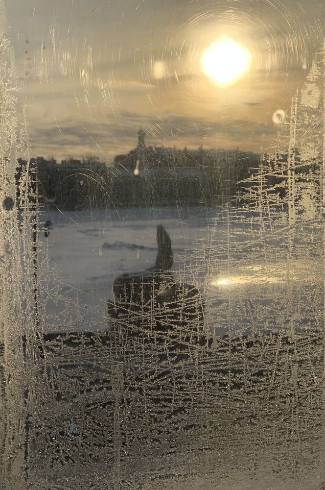 Photograph by Мария Бессмертная