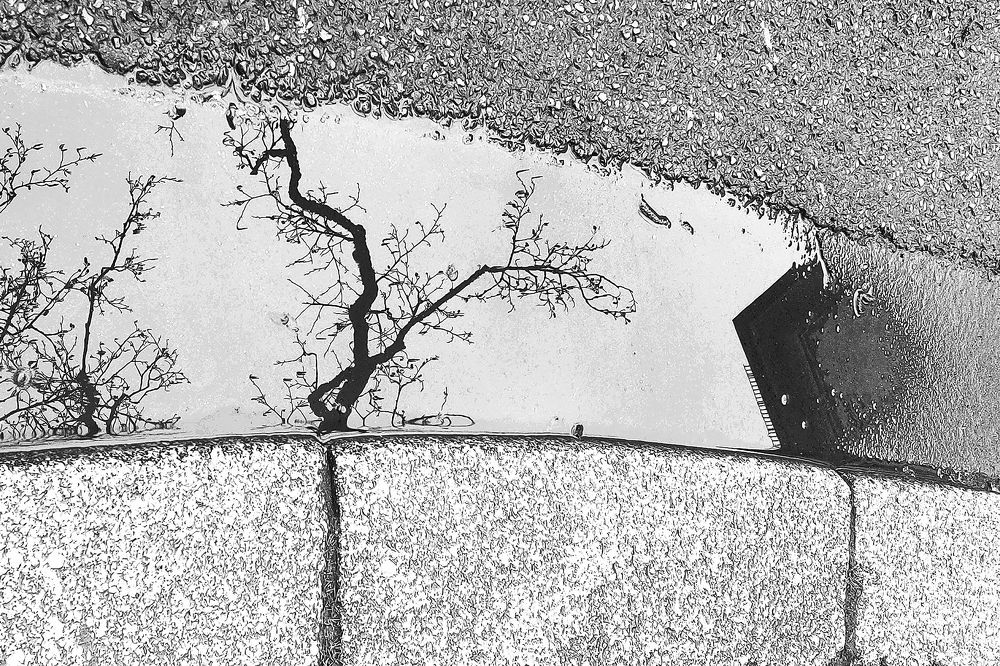 Фотография автора Невмержицкий Валерий