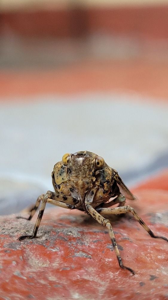 Photograph by Amal Madhu