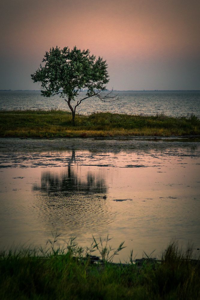 Photograph by Павел Галивец