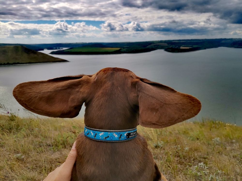 Фотография автора Ольга Тенилова